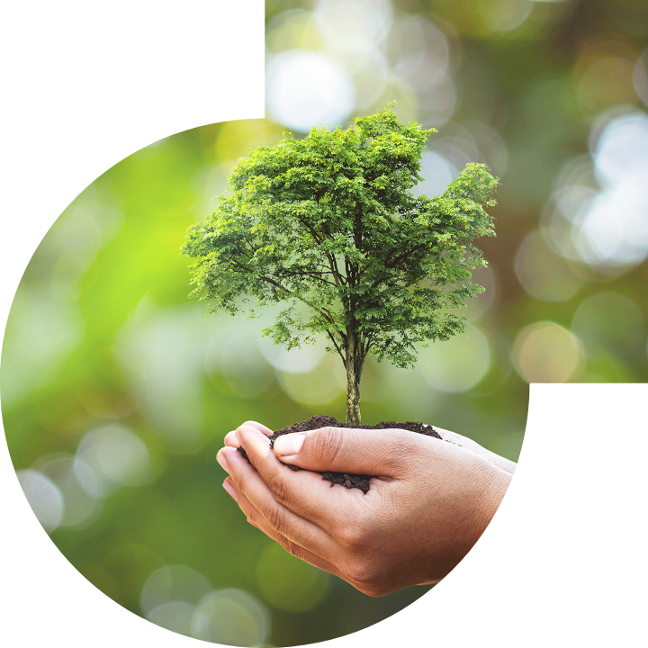 关怀人类、文化、环境与社会